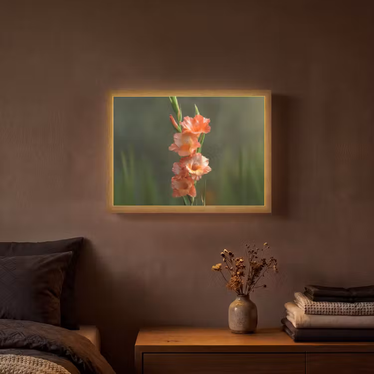 Lightbox - Wandlamp - Bloem - Gladiolen - Zalmroze — 3