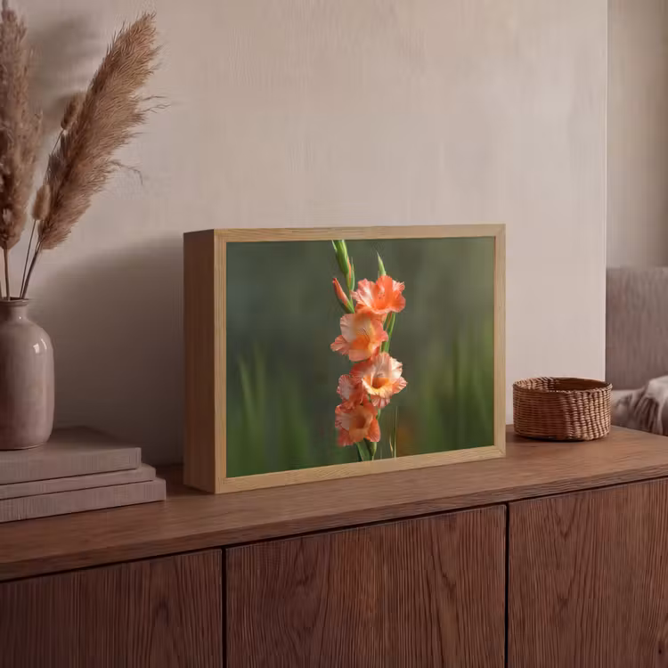 Lightbox - Wandlamp - Bloem - Gladiolen - Zalmroze — 4