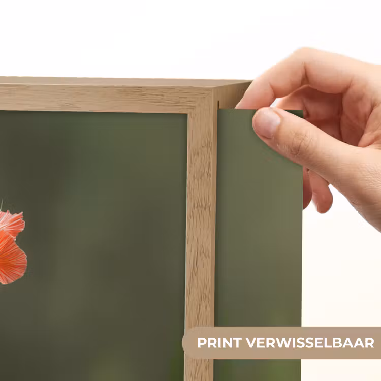 Lightbox - Wandlamp - Bloem - Gladiolen - Zalmroze — 5