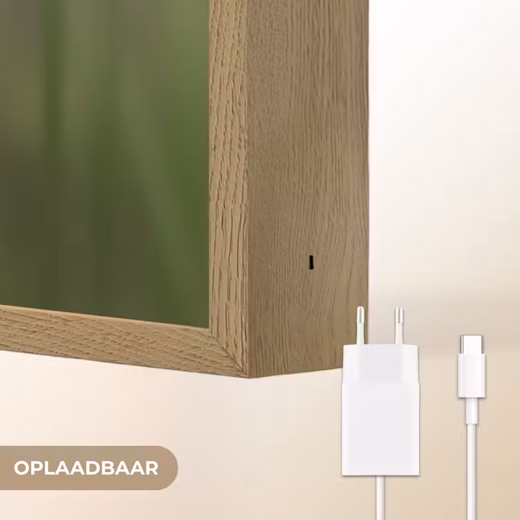 Lightbox - Wandlamp - Bloem - Gladiolen - Zalmroze — 7