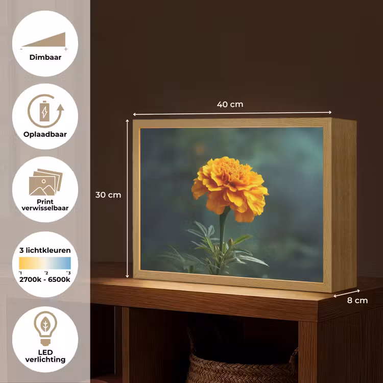 Lightbox - Wandlamp - Bloemblaadjes - Afrikaan - Oranje - Wazig — 10