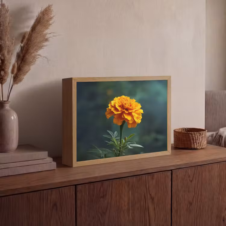 Lightbox - Wandlamp - Bloemblaadjes - Afrikaan - Oranje - Wazig — 4