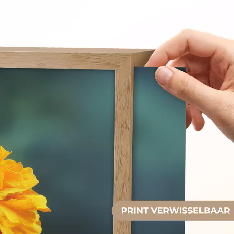 Lightbox - Wandlamp - Bloemblaadjes - Afrikaan - Oranje - Wazig — 5