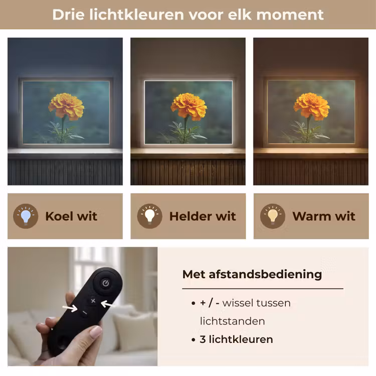 Lightbox - Wandlamp - Bloemblaadjes - Afrikaan - Oranje - Wazig — 8