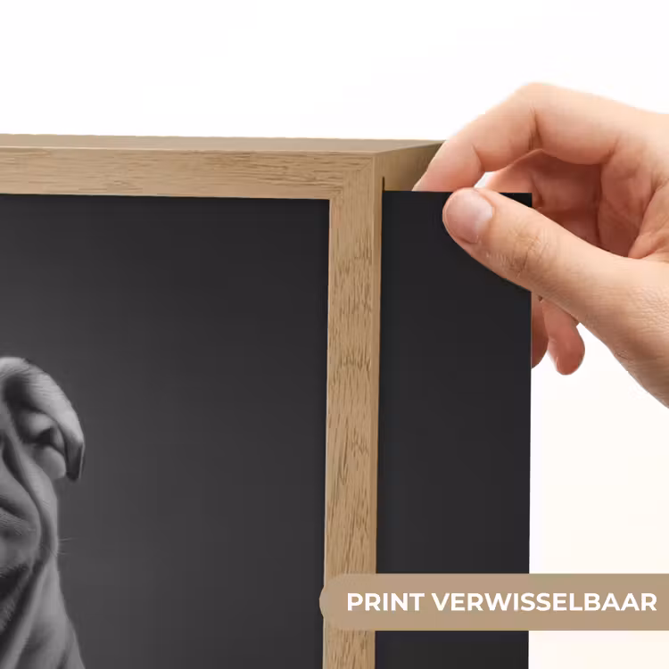 Lightbox - Wandlamp - Buldog - Hond - Glas — 5