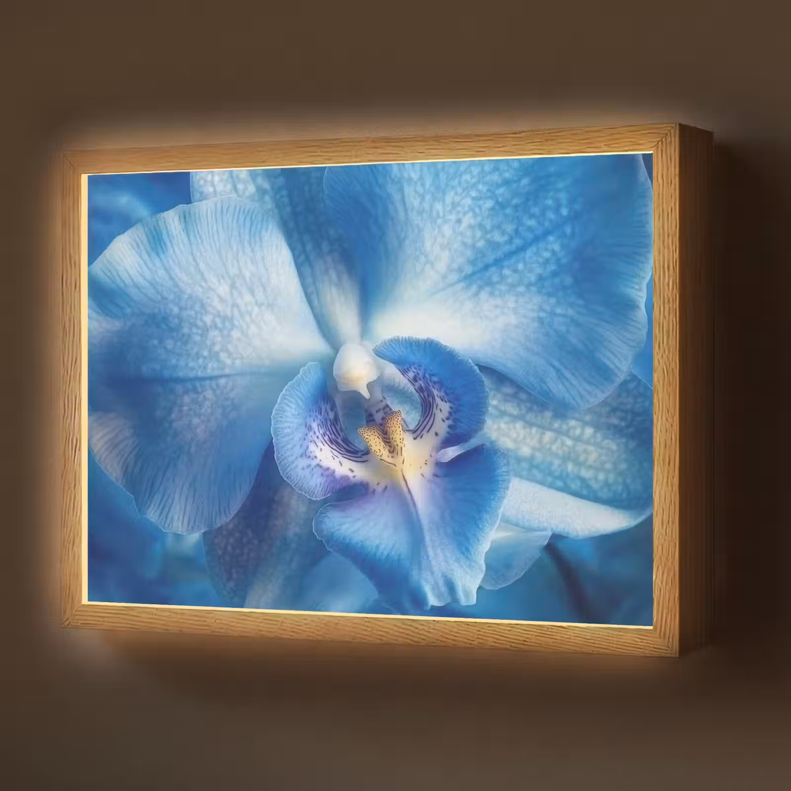 Lightbox - Wandlamp - Blauw - Orchidee - Elegeant — 1