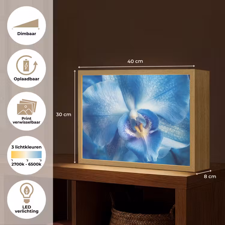 Lightbox - Wandlamp - Blauw - Orchidee - Elegeant — 10