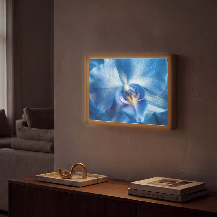 Lightbox - Wandlamp - Blauw - Orchidee - Elegeant — 2
