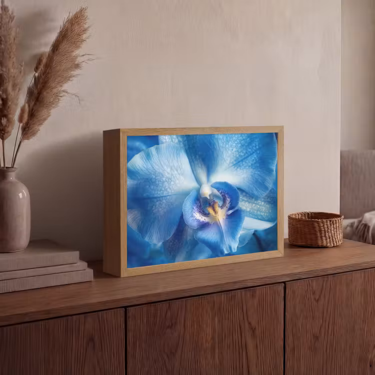 Lightbox - Wandlamp - Blauw - Orchidee - Elegeant — 4
