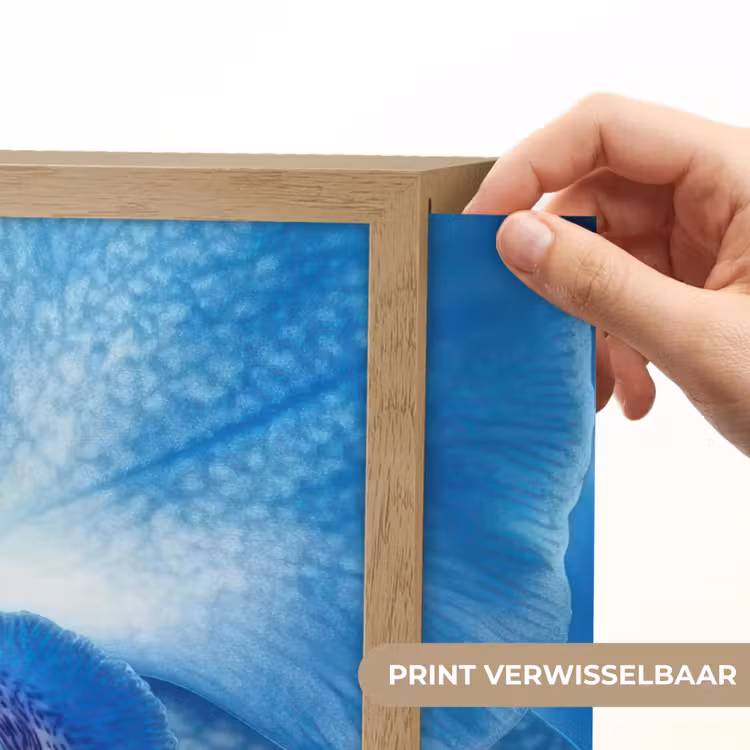 Lightbox - Wandlamp - Blauw - Orchidee - Elegeant — 5