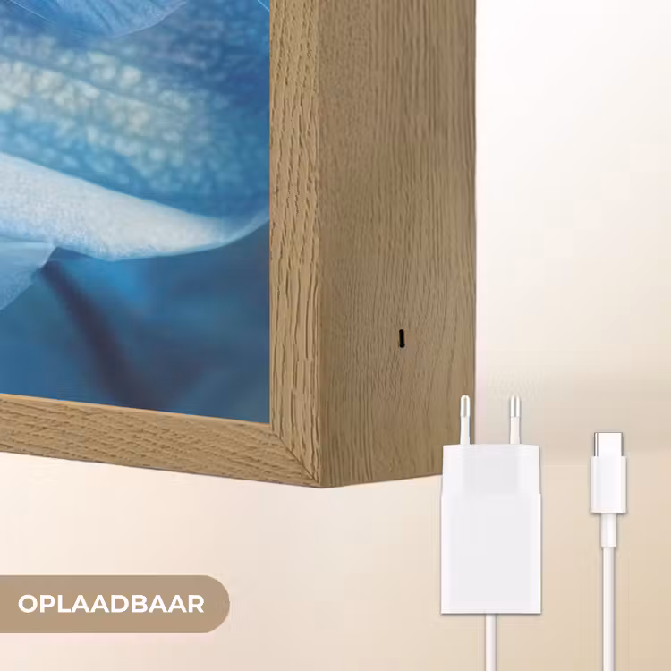 Lightbox - Wandlamp - Blauw - Orchidee - Elegeant — 7