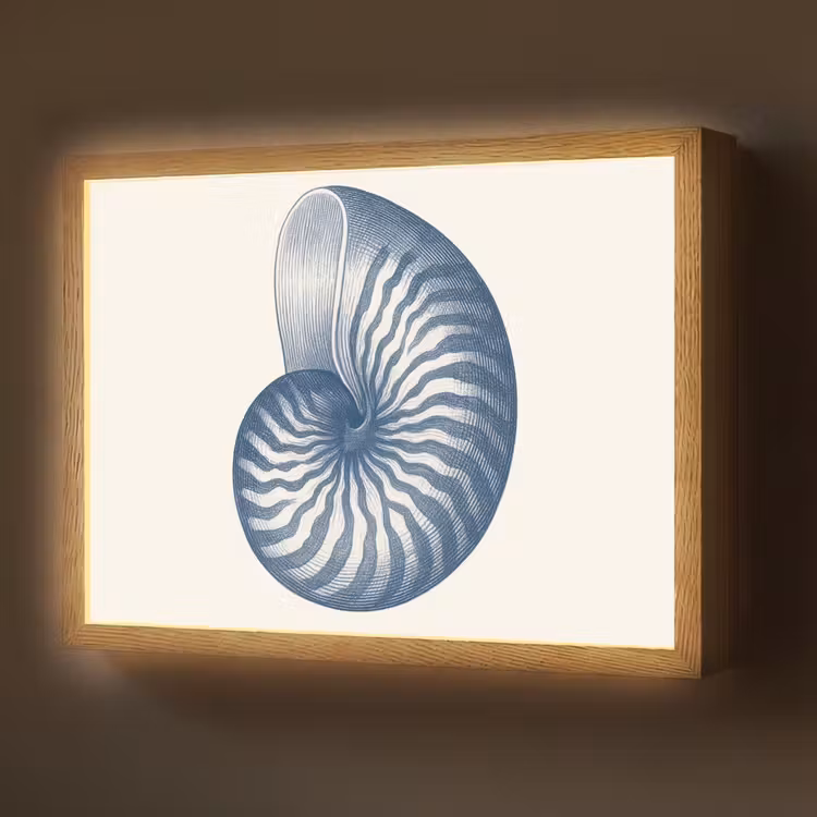 Lightbox - Wandlamp - Blauw - Schelp - Spiraal — 1