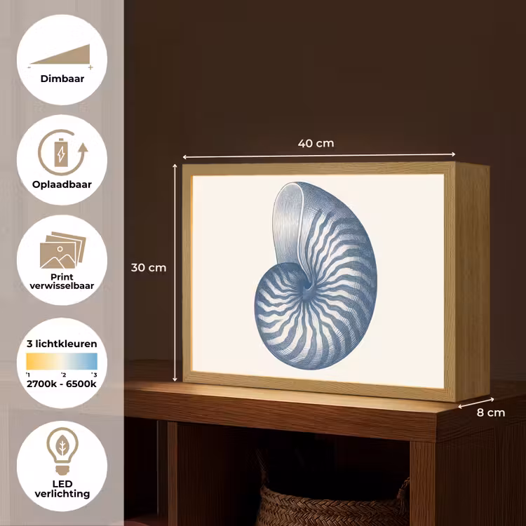 Lightbox - Wandlamp - Blauw - Schelp - Spiraal — 10