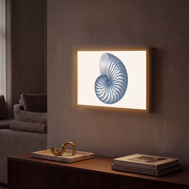 Lightbox - Wandlamp - Blauw - Schelp - Spiraal — 2