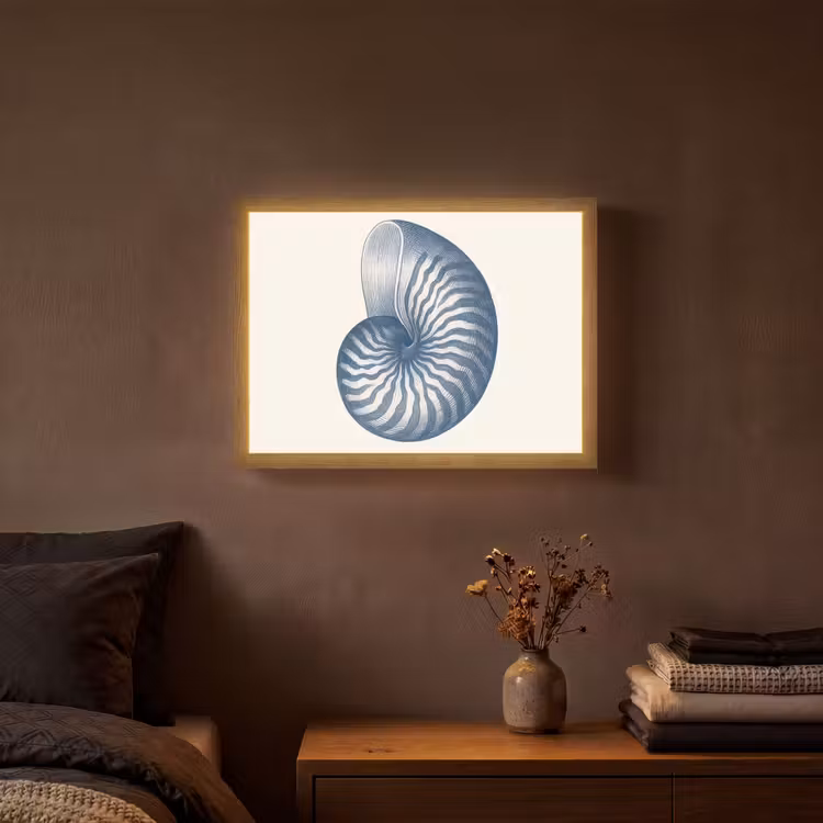 Lightbox - Wandlamp - Blauw - Schelp - Spiraal — 3