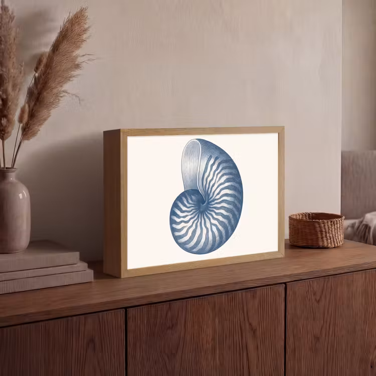 Lightbox - Wandlamp - Blauw - Schelp - Spiraal — 4