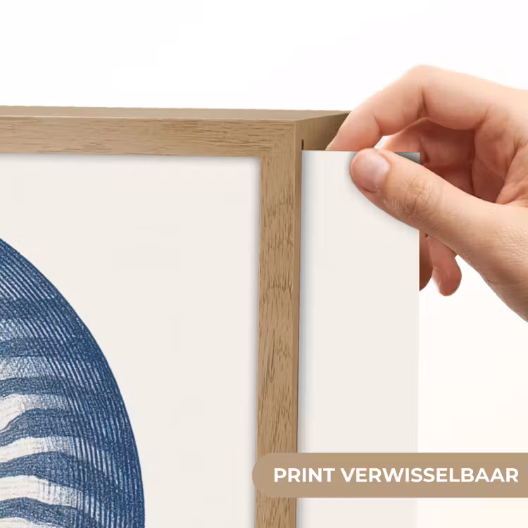Lightbox - Wandlamp - Blauw - Schelp - Spiraal — 5