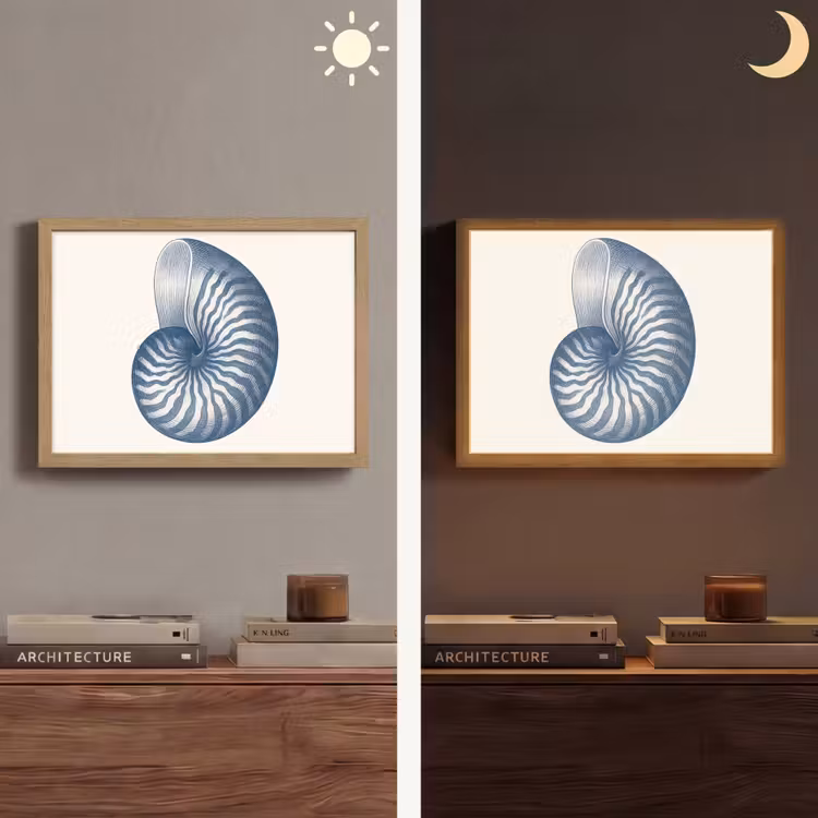Lightbox - Wandlamp - Blauw - Schelp - Spiraal — 6