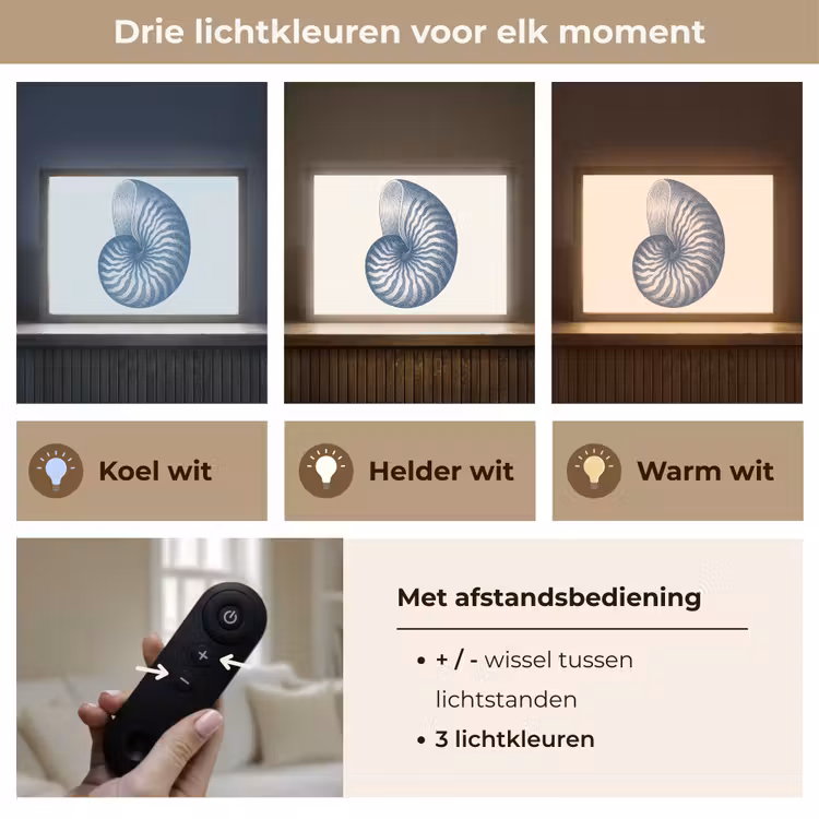 Lightbox - Wandlamp - Blauw - Schelp - Spiraal — 8