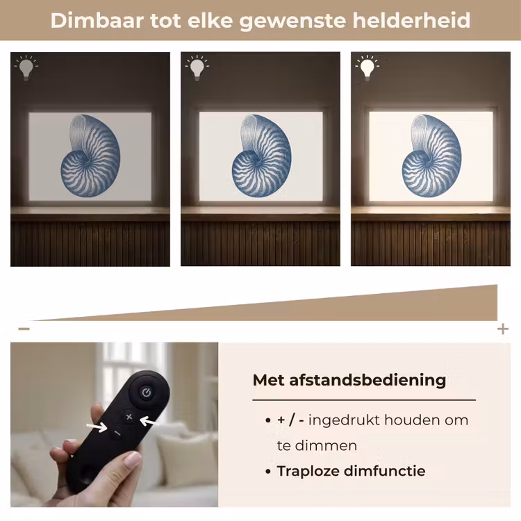 Lightbox - Wandlamp - Blauw - Schelp - Spiraal — 9