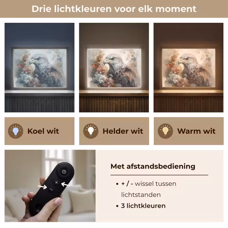 Lightbox - Wandlamp - Arend - Adelaar - Vogel - Bloemen - Natuur — 8