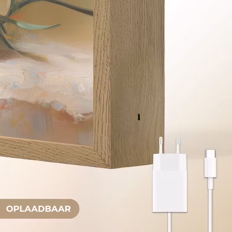Lightbox - Wandlamp - Bloemen - Eieren - Geschilderd — 7