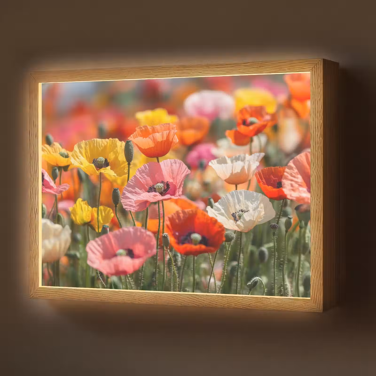 Lightbox - Wandlamp - Bloemenveld - Klaprozen - Kleurrijk — 1