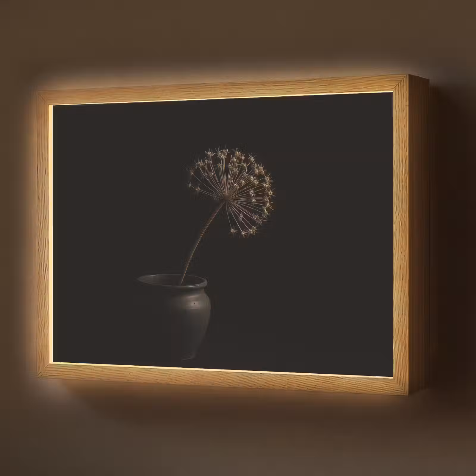 Lightbox - Wandlamp - Bol - Gedroogd - Vaas - Zwart — 1