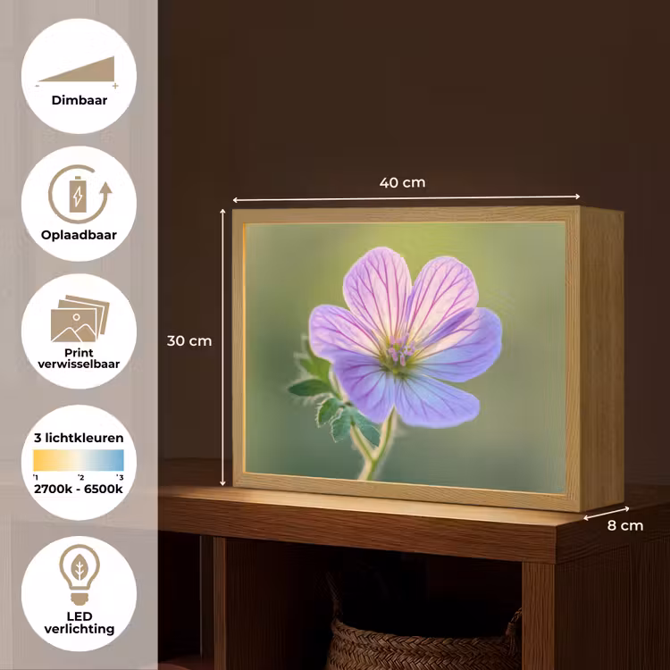 Lightbox - Wandlamp - Bloem - Close up - Paars — 10