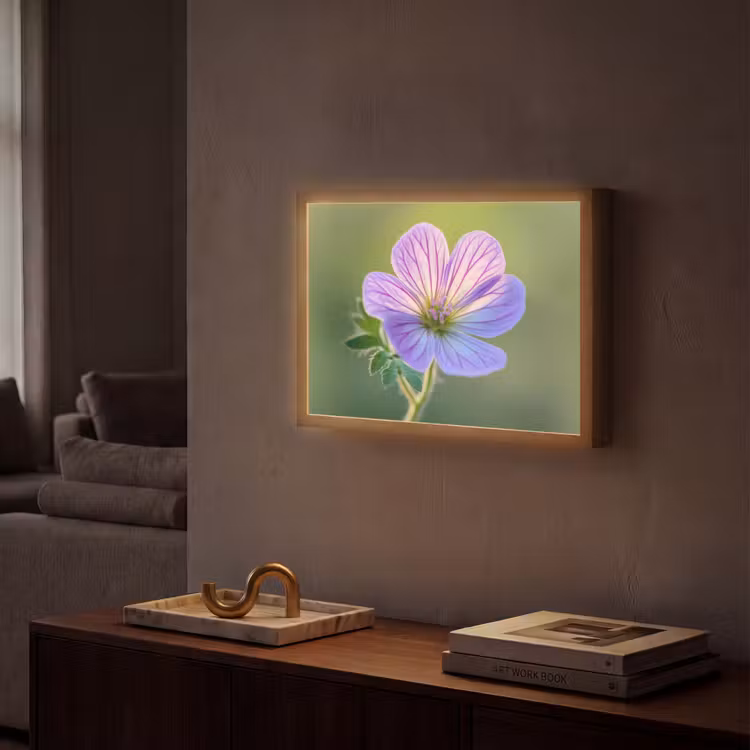 Lightbox - Wandlamp - Bloem - Close up - Paars — 2