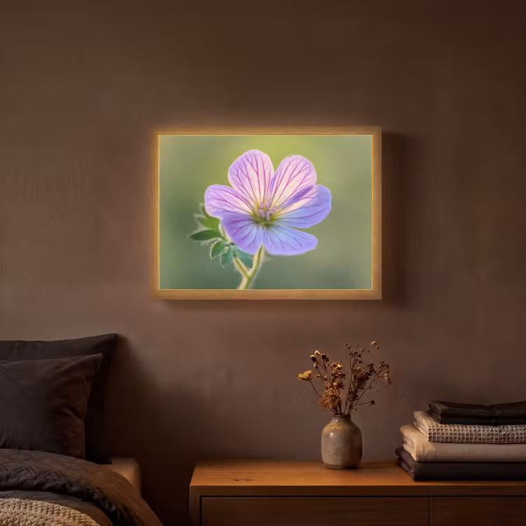 Lightbox - Wandlamp - Bloem - Close up - Paars — 3