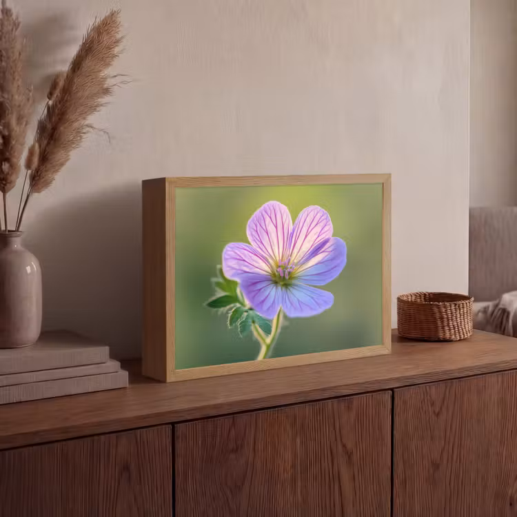 Lightbox - Wandlamp - Bloem - Close up - Paars — 4