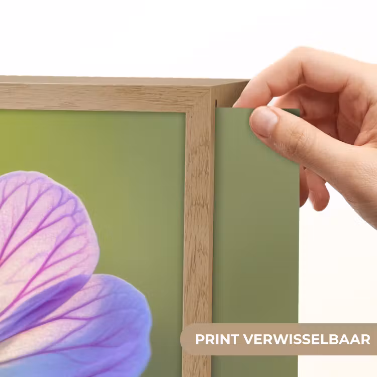 Lightbox - Wandlamp - Bloem - Close up - Paars — 5