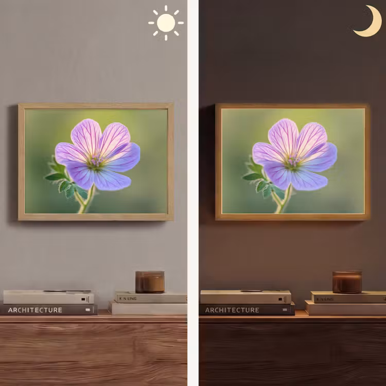 Lightbox - Wandlamp - Bloem - Close up - Paars — 6