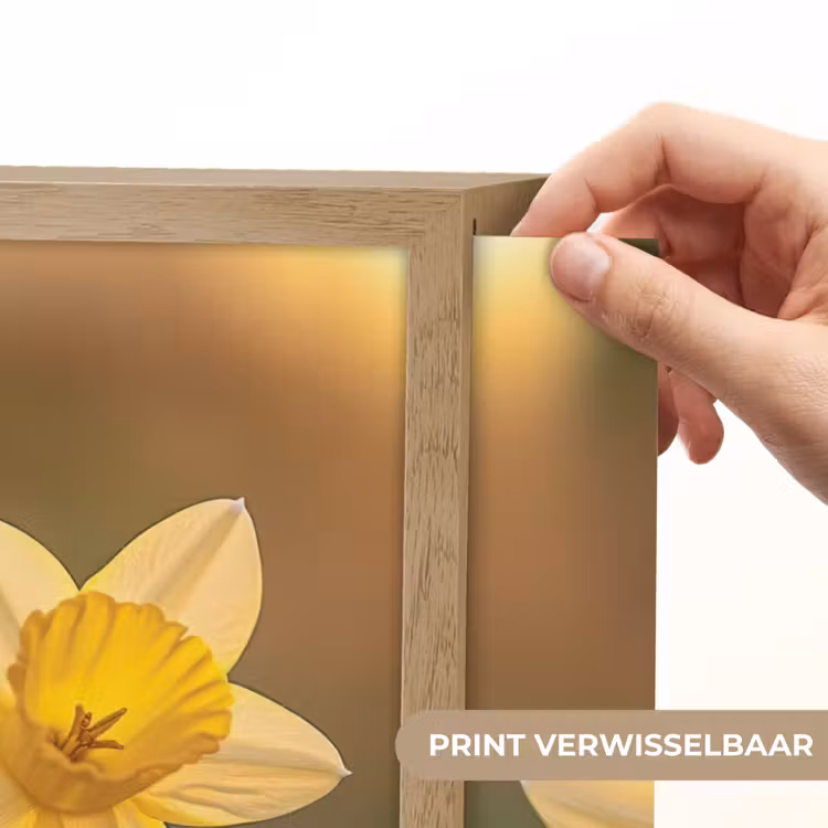 Lightbox - Wandlamp - Bloemen - Geel - Wazig — 5