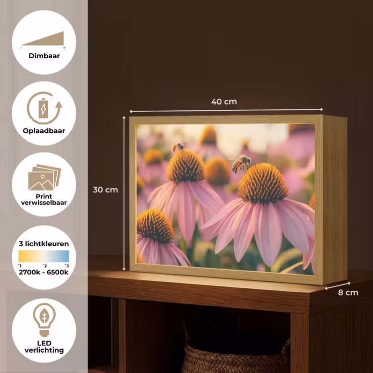 Lightbox - Wandlamp - Bloemen - Paars - Bijen — 10