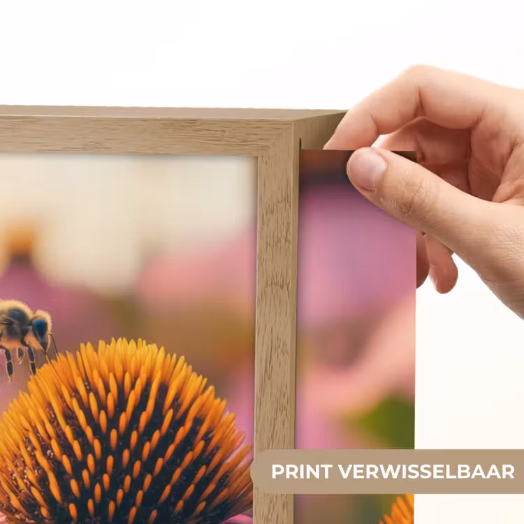 Lightbox - Wandlamp - Bloemen - Paars - Bijen — 5