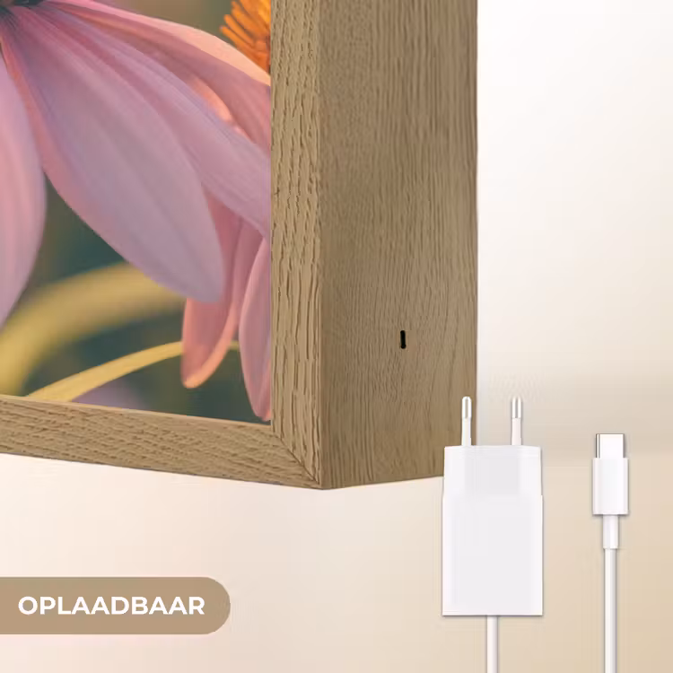 Lightbox - Wandlamp - Bloemen - Paars - Bijen — 7