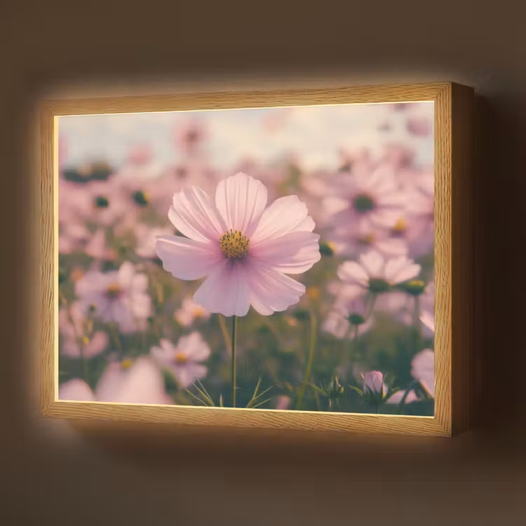 Lightbox - Wandlamp - Bloemen - Paars - Wazig — 1