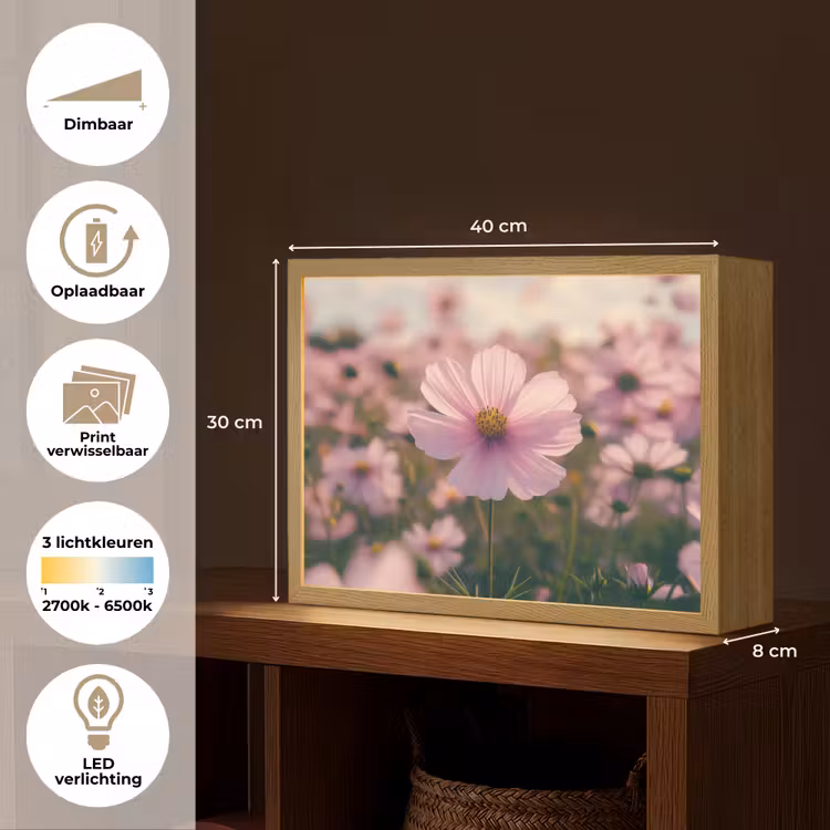 Lightbox - Wandlamp - Bloemen - Paars - Wazig — 10