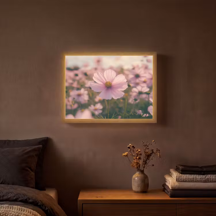 Lightbox - Wandlamp - Bloemen - Paars - Wazig — 3