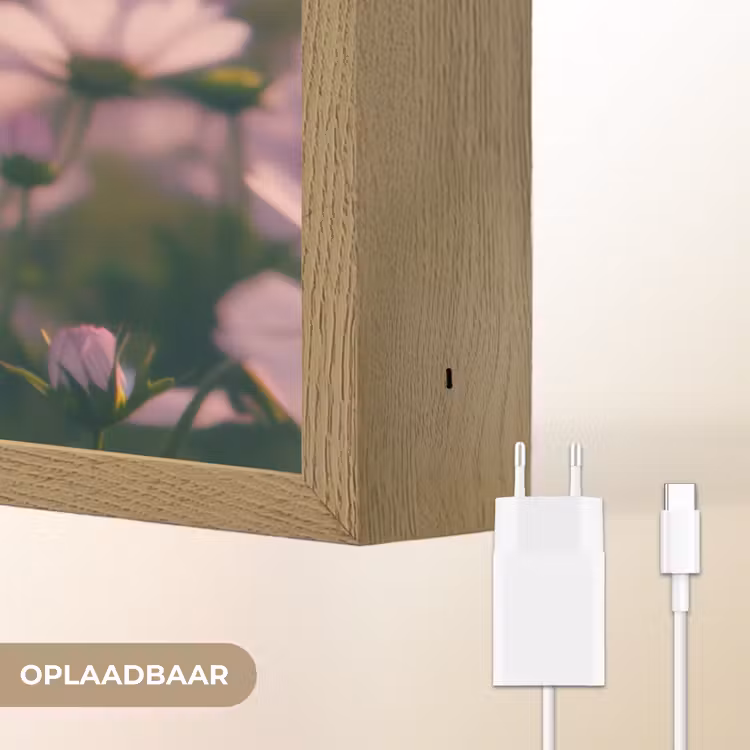 Lightbox - Wandlamp - Bloemen - Paars - Wazig — 7