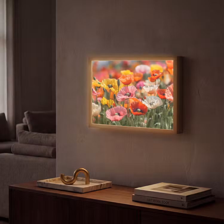 Lightbox - Wandlamp - Bloemenveld - Klaprozen - Kleurrijk — 2