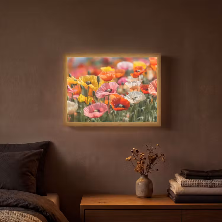 Lightbox - Wandlamp - Bloemenveld - Klaprozen - Kleurrijk — 3