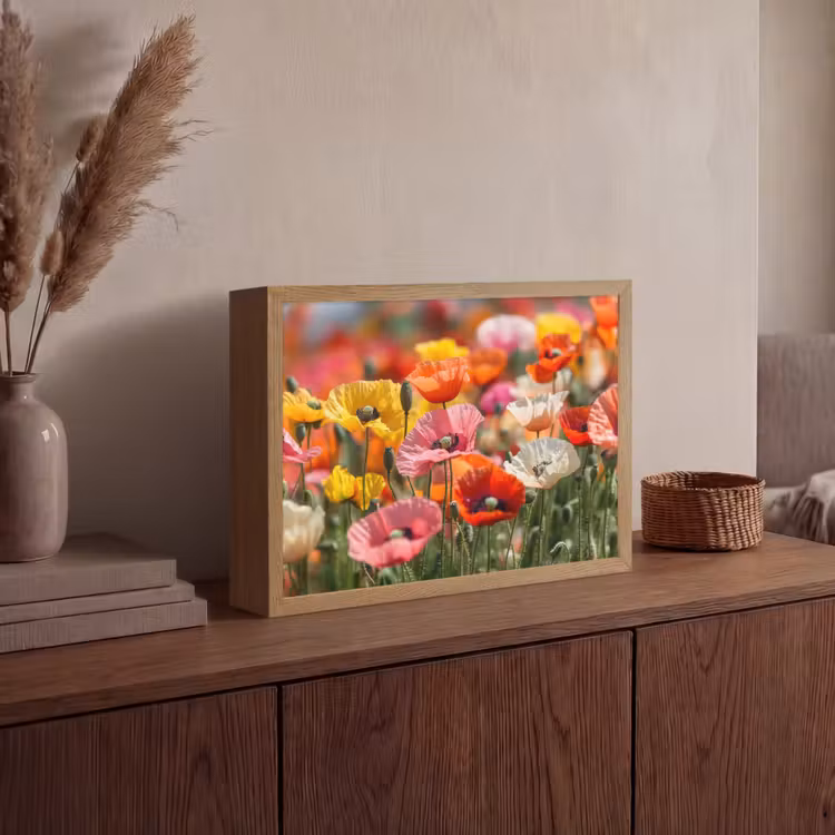 Lightbox - Wandlamp - Bloemenveld - Klaprozen - Kleurrijk — 4