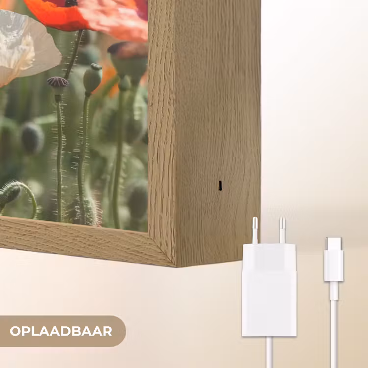 Lightbox - Wandlamp - Bloemenveld - Klaprozen - Kleurrijk — 7
