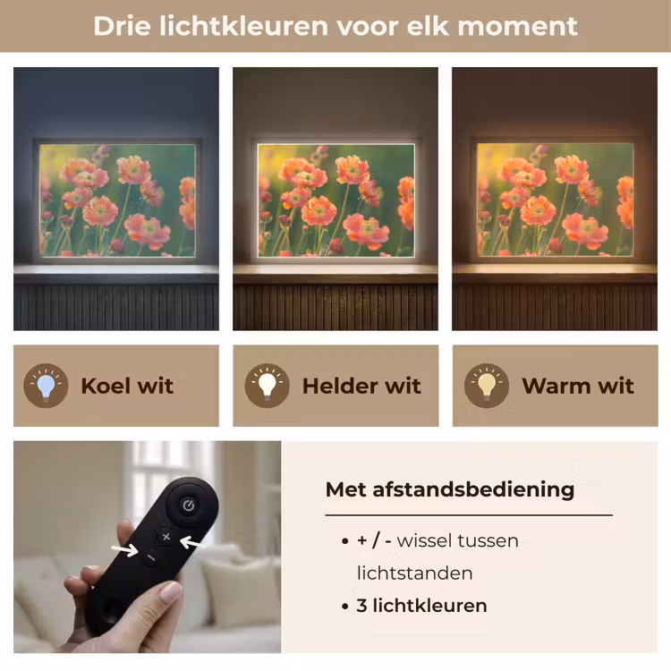 Lightbox - Wandlamp - Bloemenveld - Zonnestralen - Oranje — 8