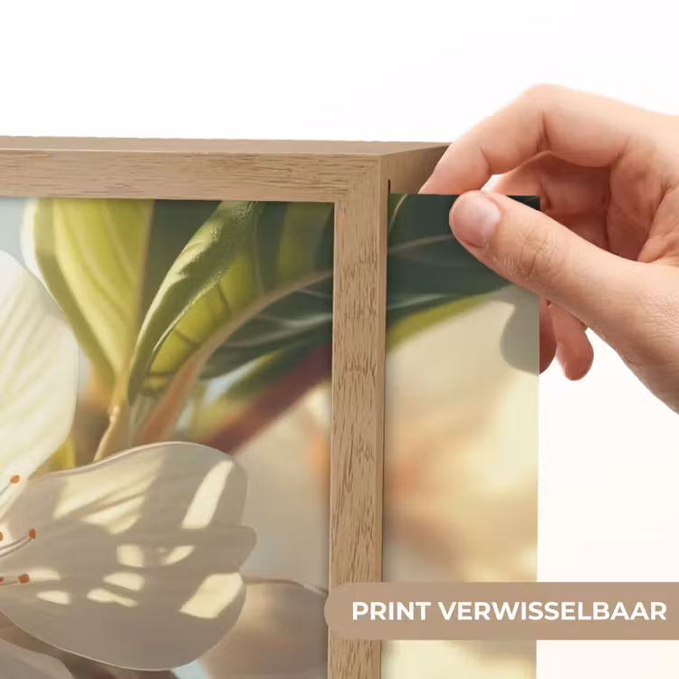 Lightbox - Wandlamp - Bloesems - Wit - Zonnestralen - Bloemblaadjes — 5