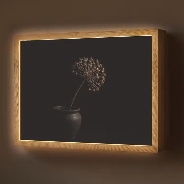 Lightbox - Wandlamp - Bol - Gedroogd - Vaas - Zwart — 1
