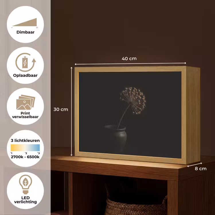 Lightbox - Wandlamp - Bol - Gedroogd - Vaas - Zwart — 10